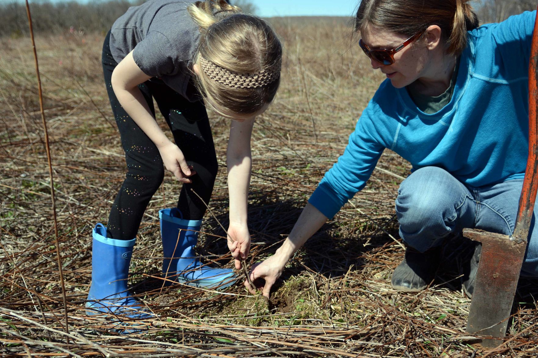 Earth Day tree planting in Baraboo Hills, April 20